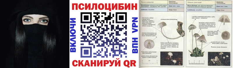 Купить где  Лагань  Псилоцибиновые грибы Cubensis 